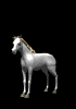 horse.gif (13752 bytes)